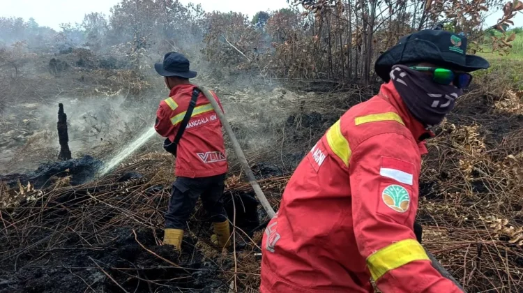 Kalsel Nihil "Hotspot", Kemenhut Fokus Penanganan Karhutla Kalbar dan Kalteng