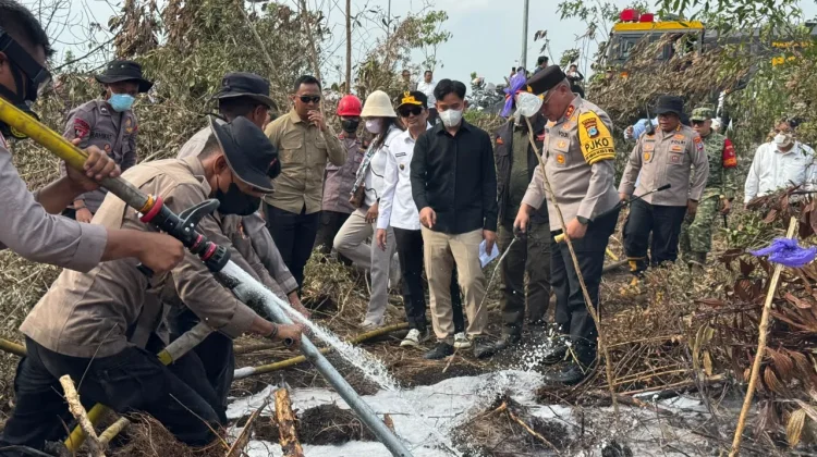 Wapres Tinjau Penanganan Kebakaran Hutan dan Lahan di Tiga Provinsi Kalimantan