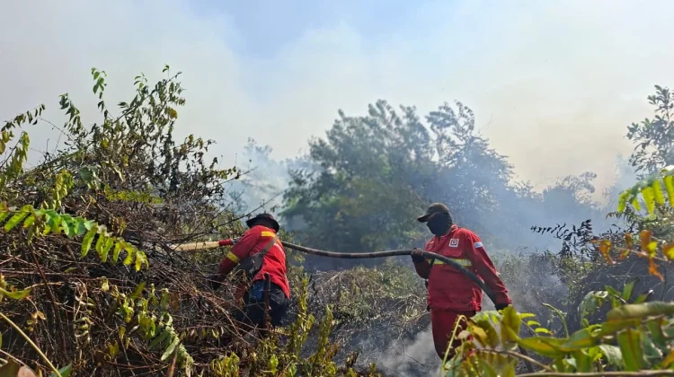Ratusan Ribu Orang Terkena ISPA akibat Karhutla di Kalimantan dan Sumatra