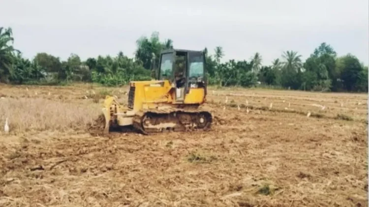Pemerintah Anggarkan Rp48,47 M untuk Rehabilitasi Sawah di Aceh Tamiang