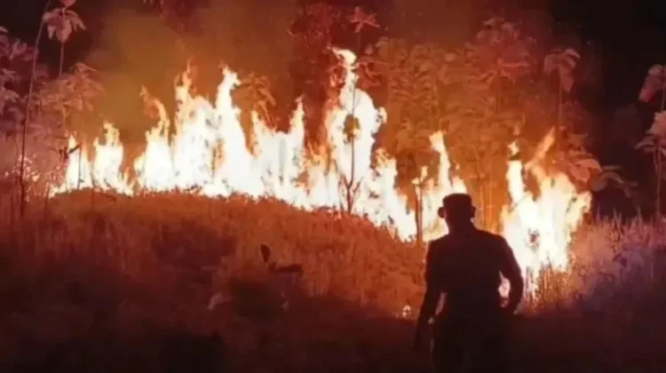 Karhutla Jabar Bakar 325,87 Hektare Lahan, 215.424 KK Terdampak Kekeringan