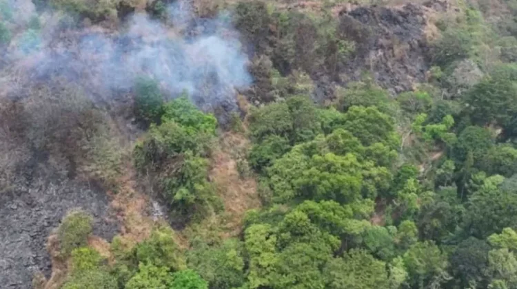 Kemenhut: Kebakaran TN Gunung Ciremai Berhasil Dipadamkan