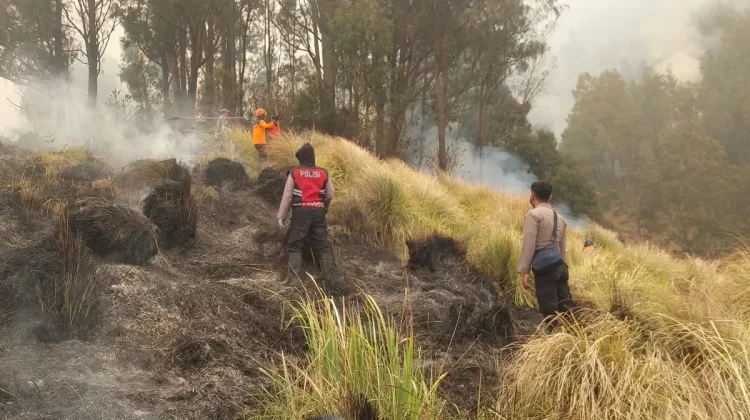 Kemenhut Bentuk Tim Khusus Selidiki Kebakaran Hutan Gunung Bromo