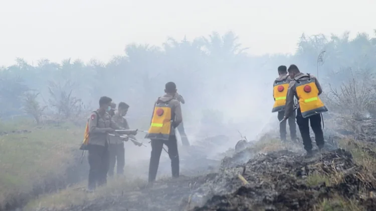 Karhutla Sungai Aur Capai 20 Hektare, Tim Gabungan Terus Lakukan Pendinginan