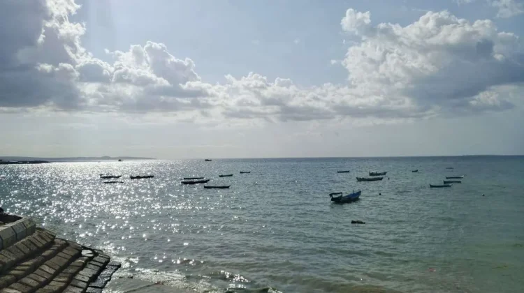 Gelombang Tinggi hingga 2,5 Meter Potensi Terjadi di Wakatobi, Ini Imbauan BMKG