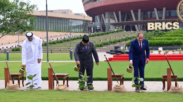 Pemimpin Dunia Anggota BRICS Gelar Aksi Tanam Pohon Banyan, Simbol Ketangguhan
