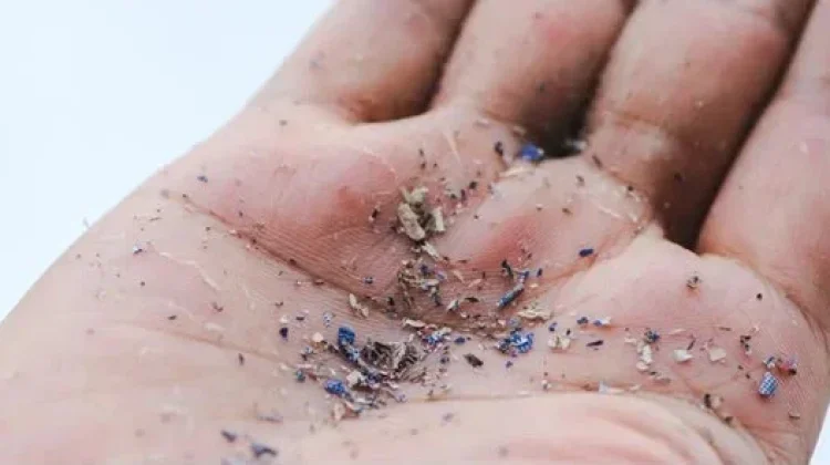 Benarkah Terhirup Mikroplastik Bisa Picu Kanker Paru-Paru? Ini Penjelasannya