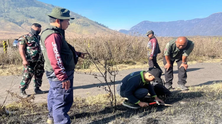 Kemenhut Dalami Dugaan Pidana Kebakaran Bromo, Libatkan Ahli Tanah dan Lingkungan