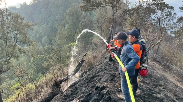 Karhutla Masih Berlangsung di Sejumlah Gunung Jawa Timur