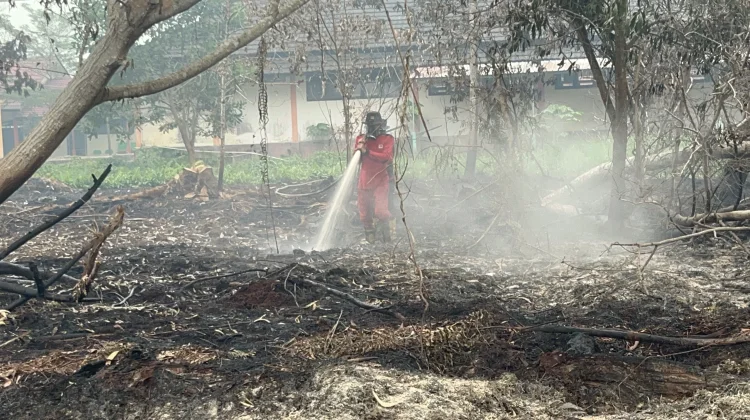 Kemenhut Pastikan "Hotspot" Karhutla di Kalteng dan Kalbar Turun Tajam