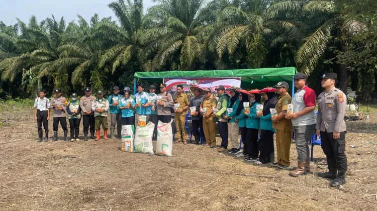 Cegah Karhutla, PT SHJ Tanam Jagung Bersama Warga Muara Bengkal