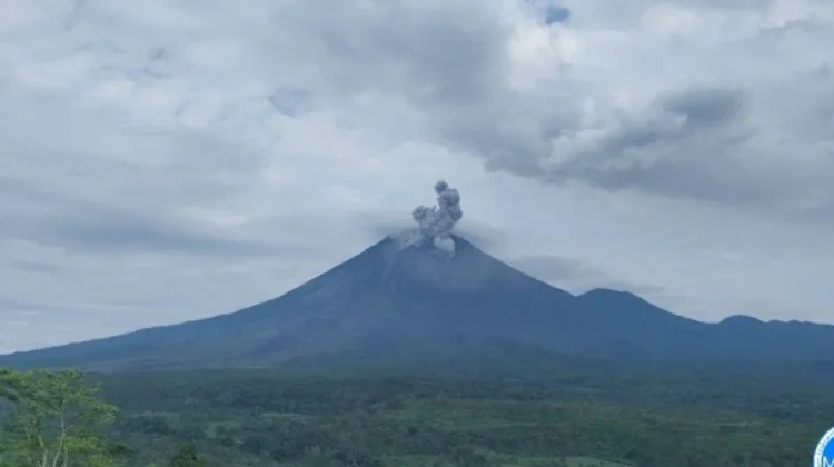 Gunung Semeru Erupsi, Warga Diminta Jauhi Radius Bahaya