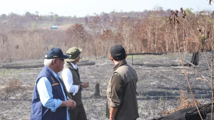 Otorita IKN Minta Perkuat Patroli Darat dan Respons Cepat untuk Cegah Karhutla