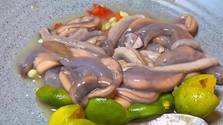 Tembiluk, Cacing Laut yang Jadi Kuliner Khas Dayak