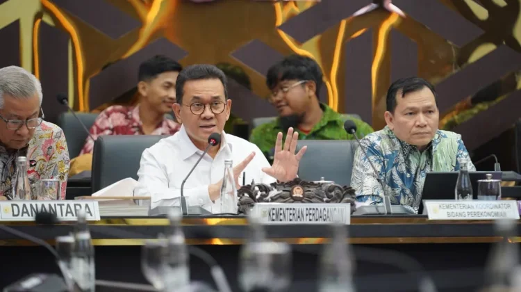 DMO Tak Berlaku Otomatis, Mendag Usul Sesuai Karakteristik Komoditas