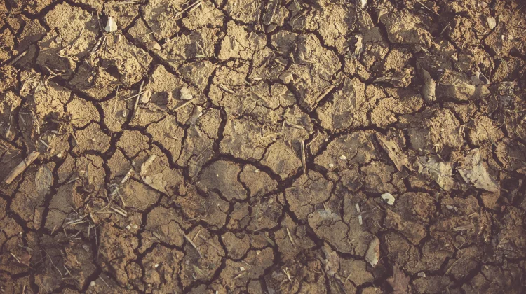 Ketahui Perbedaan El Nino dan La Nina serta Dampaknya bagi Indonesia