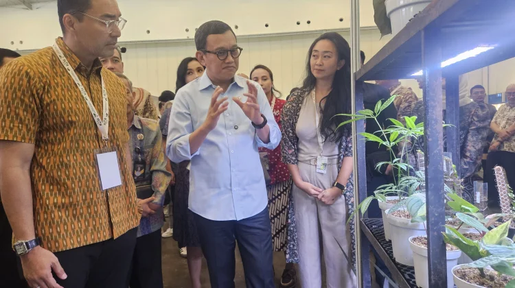 Kepala Barantin: Ekspor Florikultura RI Tembus Rp3,51 Triliun