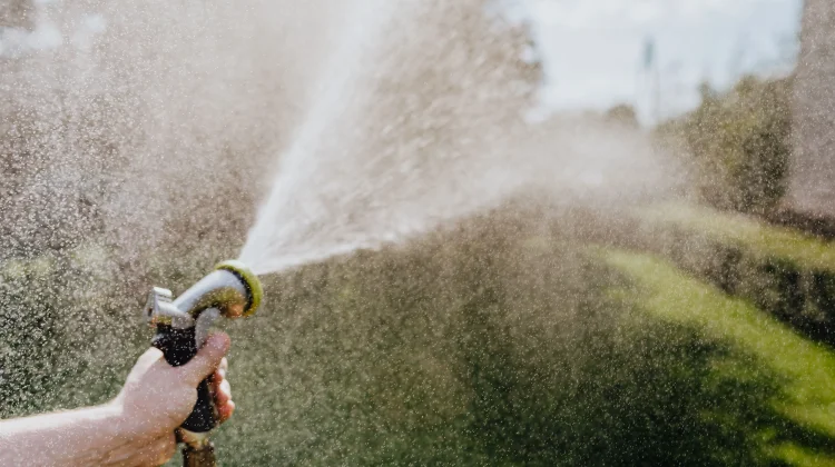 Tips Hemat Air di Musim Kemarau