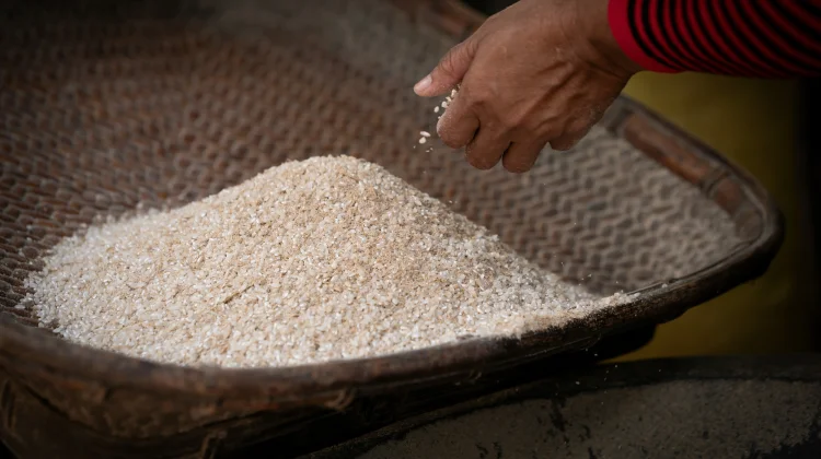 Mengenal Beras Fortifikasi dan Bedanya dengan Beras Premium