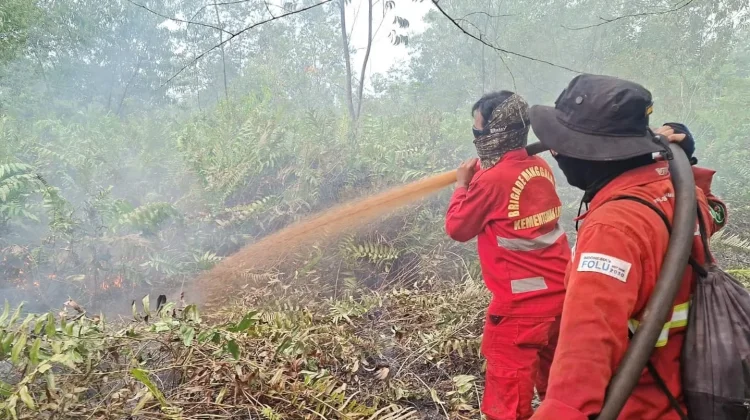 Hotspot Nasional Turun, Sumsel Masih Jadi Perhatian