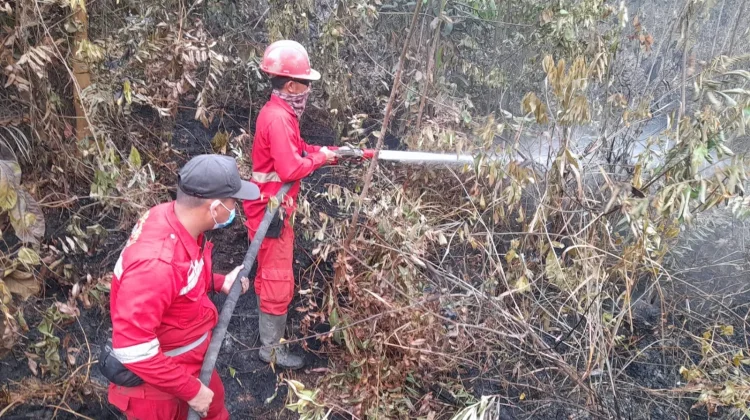 Hotspot Karhutla Naik, Kalimantan Tengah Tertinggi