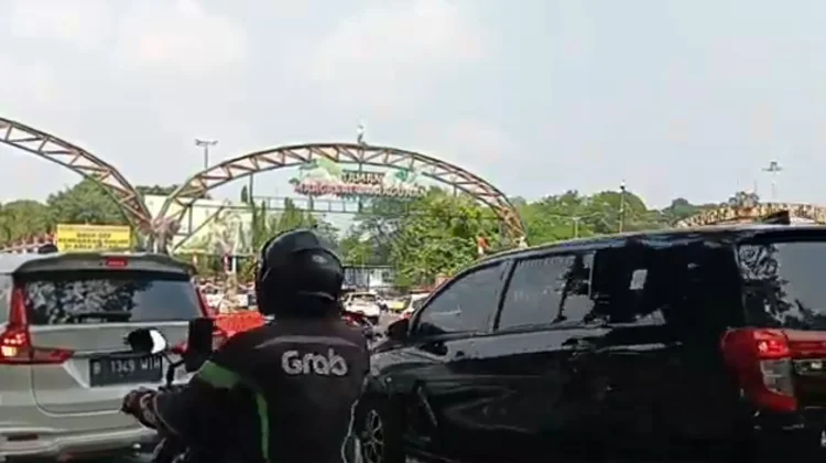 Rayakan HUT Ke-162, Ragunan Beri Pengayaan Khusus Gorila 'Komu'