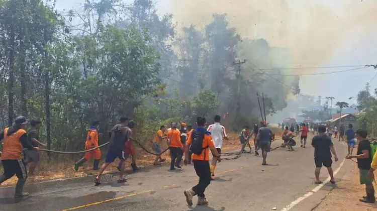 Karhutla di Poso Hanguskan 15 Hektare Kebun dan Dua Rumah Warga