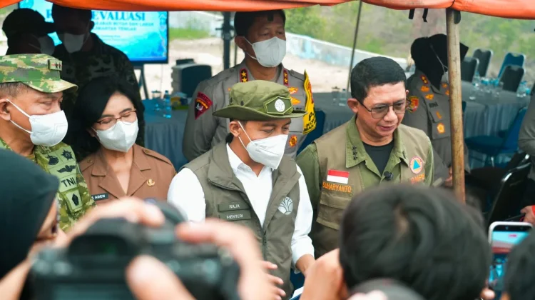 Menhut Cabut Izin Lima Perusahaan Terkait Karhutla