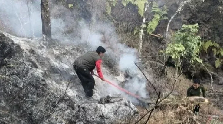 Karhutla Gunung Rinjani, Pendaki dari Senaru dan Torean Dialihkan ke Sembalun