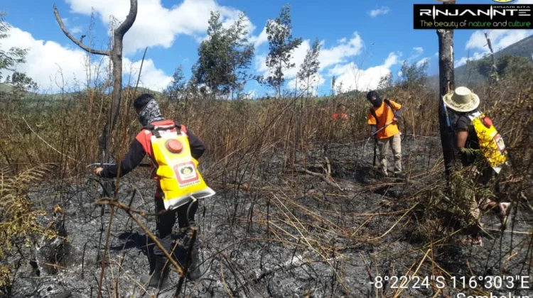 Karhutla Rinjani Capai 1.098,75 Hektare, Satu Titik Api Masih Dipantau