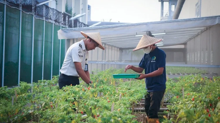 Rumah Asimilasi di Lapas, Apa Fungsi dan Kegiatannya?