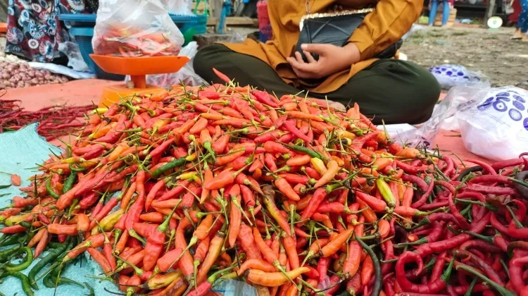 Berapa Harga Cabai, Beras, hingga Daging Hari Ini? Simak Data Harga Pangan Nasional