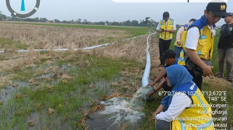 Kementerian PU Operasikan Tiga Pompa Atasi Kekeringan 600 Hektare Sawah Bekasi