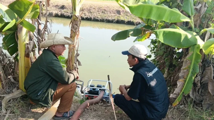 Cegah Kekeringan Lahan Pertanian, Dinas Pertanian Bekasi Maksimalkan Pompa Air