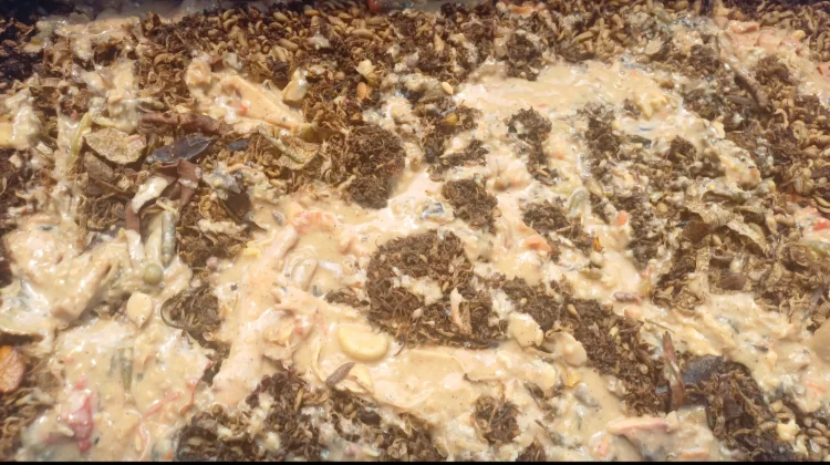 Budidaya Maggot Jadi Alternatif Pengolahan Sampah Makanan di Jakarta