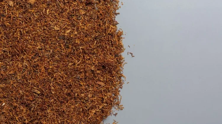 Kaji Mendalam Larangan Bahan Tambahan Tembakau demi Cegah Rokok Ilegal