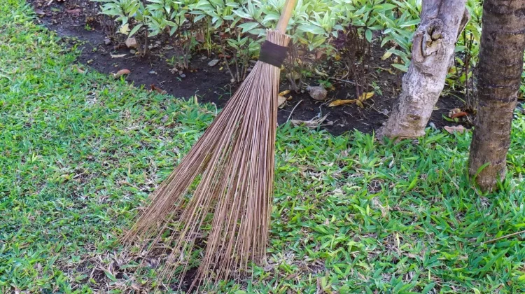 Produk Sapu Lidi Buatan Indonesia Diminati Banyak Negara