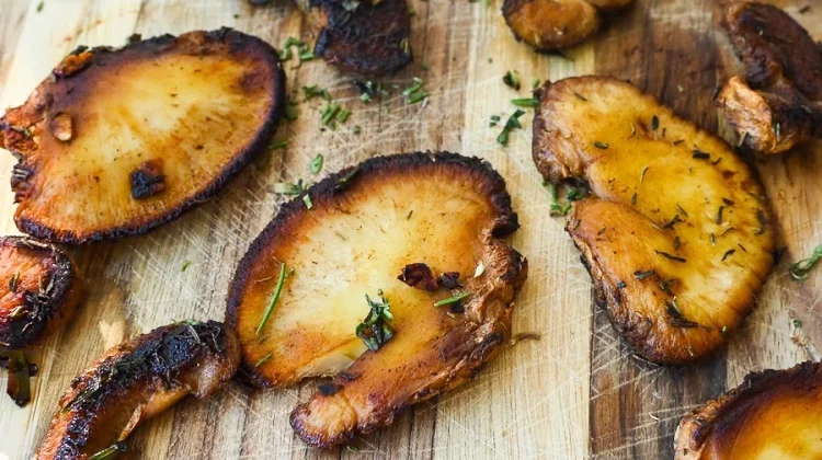 Hari Vegetarian Sedunia: Bagaimana Jamur Jadi Alternatif Daging yang Potensial?