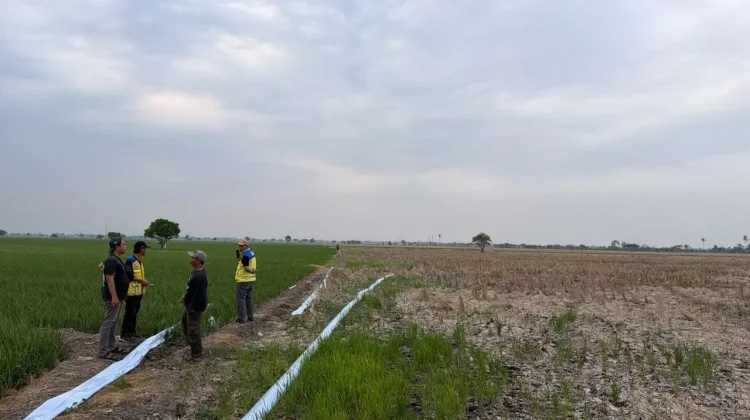Kementerian PU Kerahkan Pompa Atasi Kekurangan Air Sawah di Tiga Wilayah Jabar
