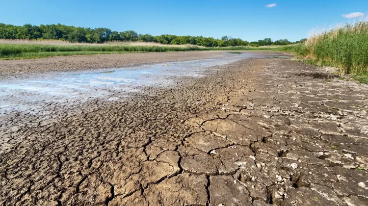 Kenali Perbedaan Kekeringan Meteorologis dan Hidrologis