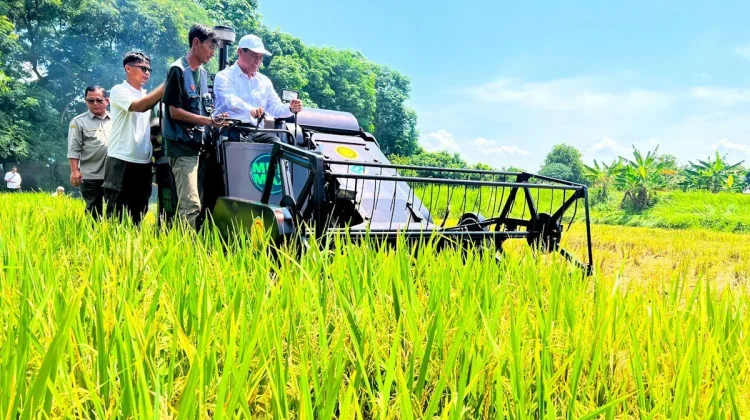 Produksi Padi hingga Agustus Capai 43,89 Juta Ton