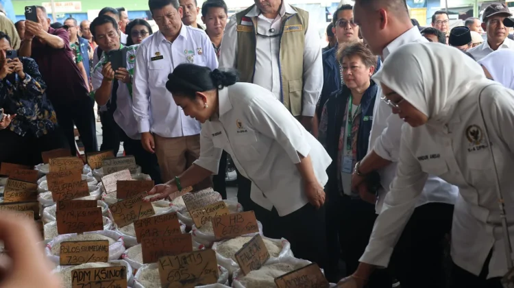 Produksi Padi Naik, Stok Beras Tetap Melimpah