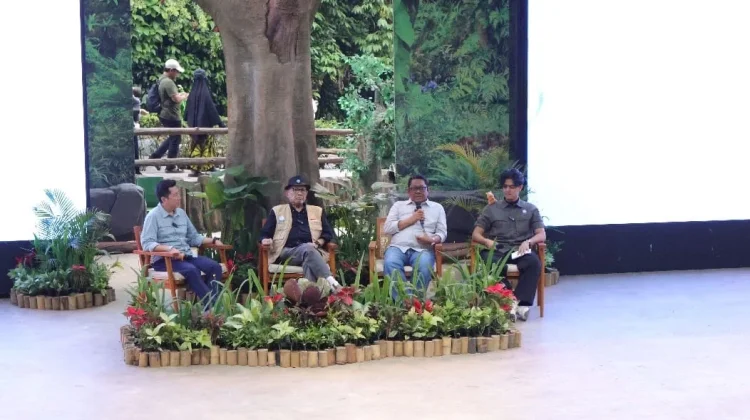 Dua Induk Badak Sumatera Bunting, Jadi Kabar Baik Konservasi