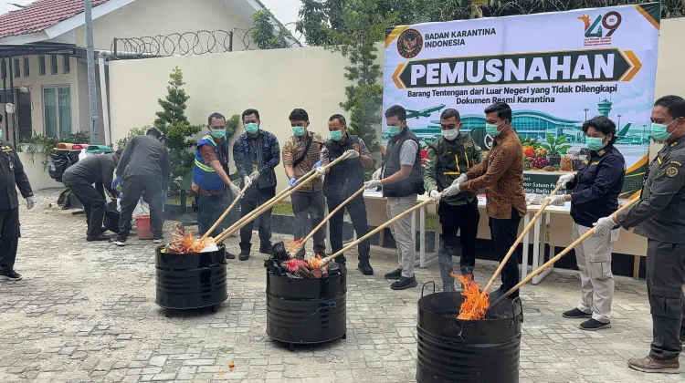 Barantin Lampung Musnahkan Bakso, Sosis, Buah, dan Benih Barang Bawaan dari Malaysia