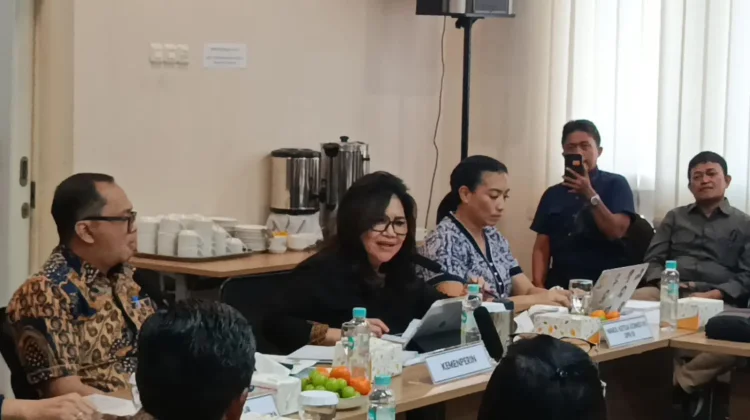Komisi VII DPR Soroti Tumpang Tindih Kewenangan di Kawasan Industri