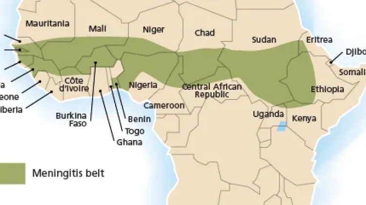 Mengenal Meningitis Belt, Wilayah Afrika yang Rawan Wabah