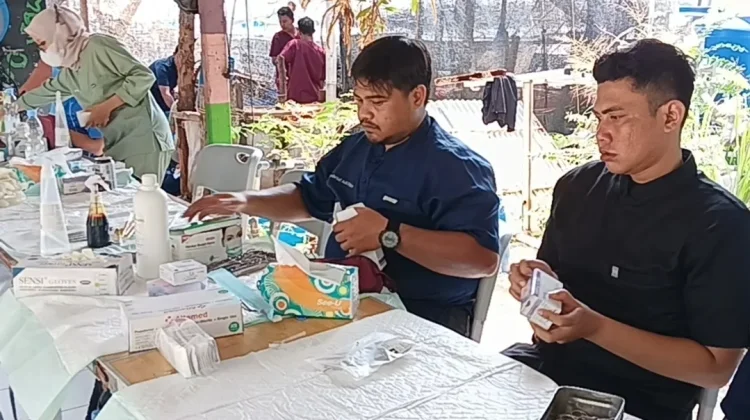 Kendalikan Populasi, PDHI-Pemprov DKI Target Sterilisasi 1000 Ekor Kucing