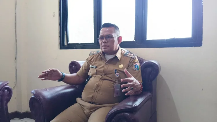 Sterilisasi Tekan Populasi Kucing Untung Jawa