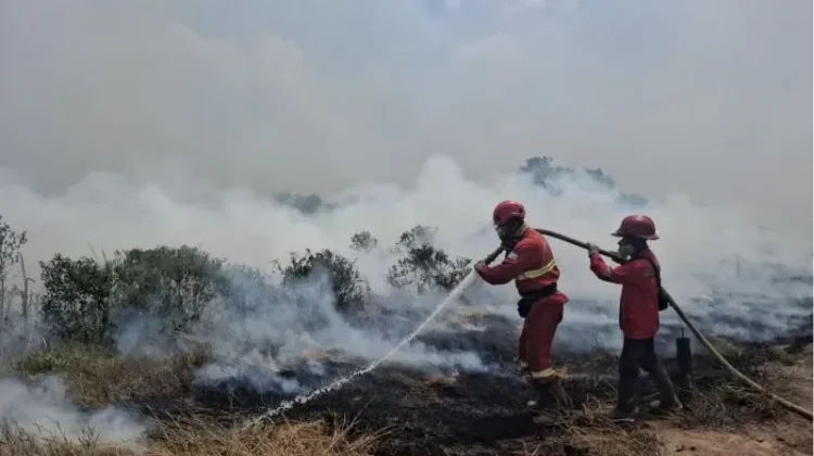 Kemenhut Perkuat Peran Masyarakat dalam Penanganan Karhutla - RRI.co.id