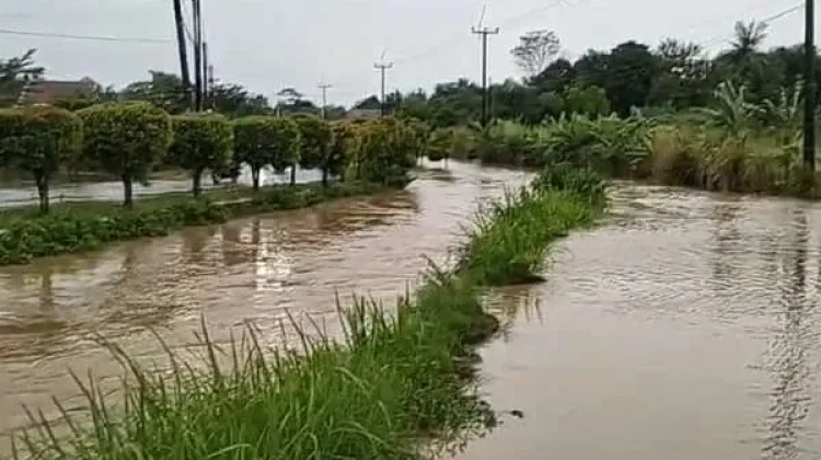 113 Rumah Sempat Terendam, BPBD Bogor Ungkap Penyebab Banjir di ...